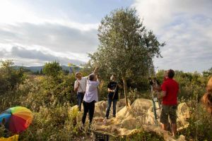 Via San Marino, ultima raccolta di olive, prima della cementificazione per il cubone in quella che il Comune narra come area abbandonata