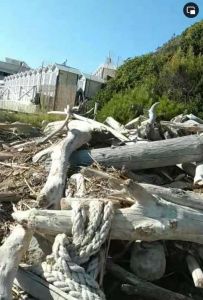 Rosignano: Calderone (FdI): "L'Amministrazione verrà ricordata per la disattenzione più totale verso l’intero territorio"