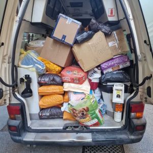 Animali alluvionati, Anpana raccoglie e consegna 15 quintali di cibo. Anche da Livorno un furgone pieno di cibo