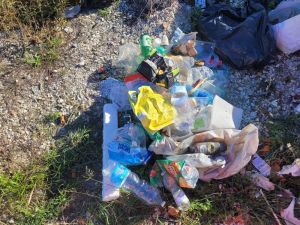 Mister Green toglie la plastica abbandonata vicino alla sede ACI