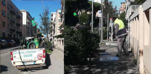 Cittadino segnala, Aamps risolve. In tempo zero pulito marciapiede da escrementi di cane