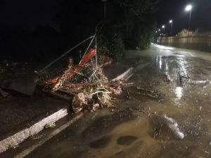 Il Rio Maggiore esonda tra via di Popogna e via dell'Ardenza (La diretta video)