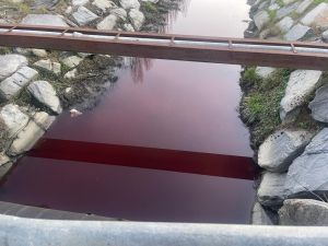 Fosso Cateratto rosso, Capogna attacca l'inerzia del Comune: "Analisi ambientali fondamentali ignorate"