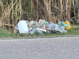 Un gesto di civiltà per il Natale Mister Green ripulisce un fosso da plastica e sporcizia