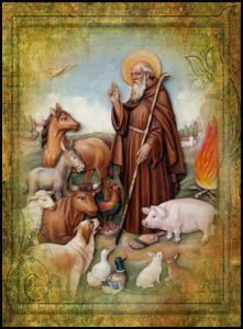 Benedizione degli animali nel giorno di Sant'Antonio abate, le parrocchie che benedicono gli animali