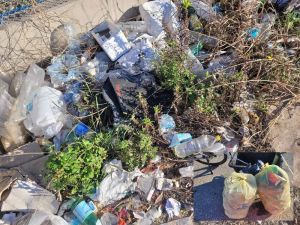 Mister Green, l'ecologista di Livorno, in azione per la pulizia delle strade: 3 chili di rifiuti raccolti in tre ore