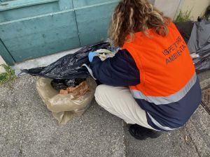 Spazzatura, 30 utenze sanzionate dagli ispettori Aamps