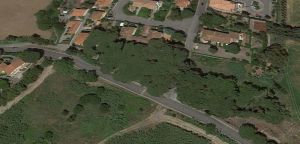 Droga nel barattolo sepolto nel bosco di Castiglioncello, individuata base di spaccio