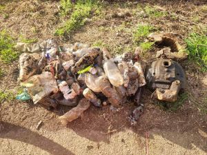 Mister Green e il potere dell'esempio: residenti si mobilitano per l'ambiente