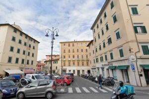 Attacco di pitbull, donna ferita al volto durante una passeggiata serale