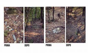 In 45 tra adulti e bambini ripuliscono il bosco di Livorno dai rifiuti