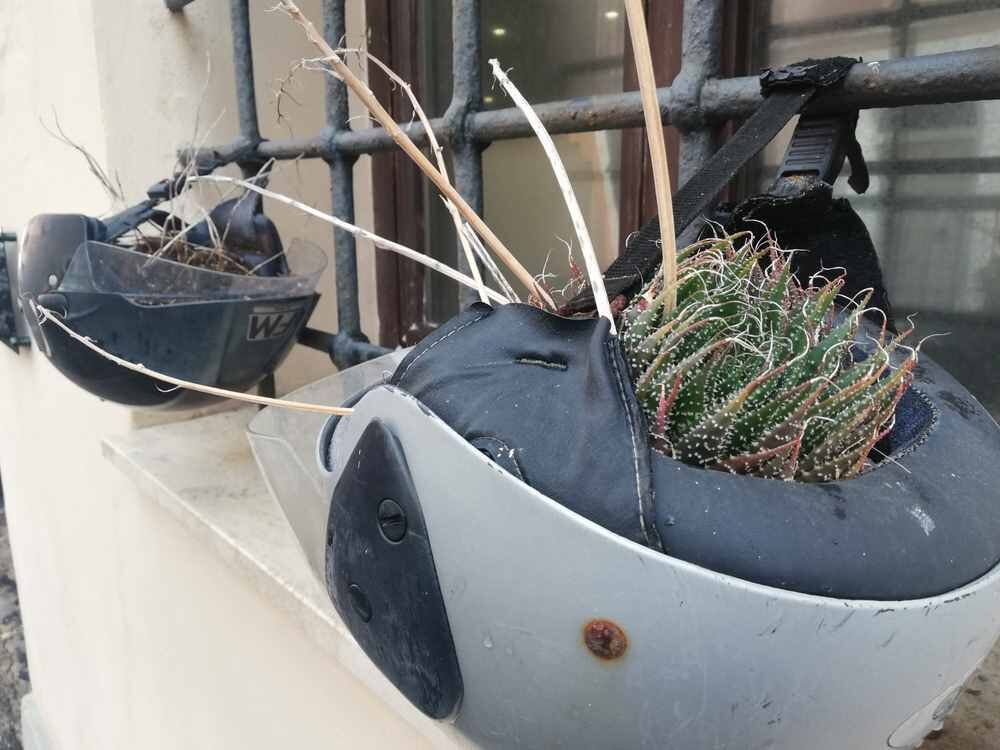 Da caschi a vasi, inventiva labronica e riciclo creativo