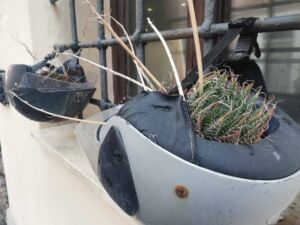 Da caschi a vasi, inventiva labronica e riciclo creativo