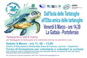 Elba capitale delle tartarughe, convegno a Portoferraio e corso formativo a Lacona