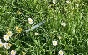 Allarme siringhe nel parco accanto a scuola e asilo, "in 10 giorni non è cambiato niente"