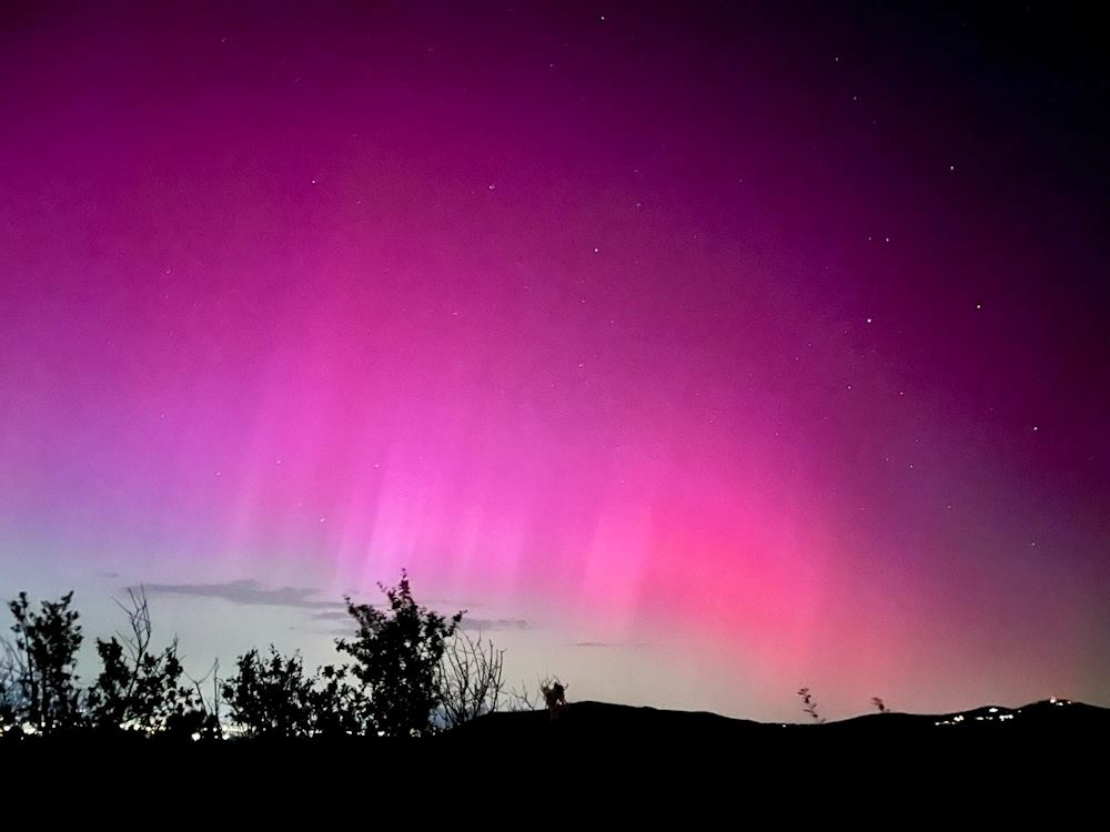 Notte Rosa, Aurora Boreale tinge il cielo di Livorno