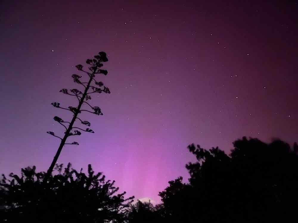 Notte Rosa, Aurora Boreale tinge il cielo di Livorno