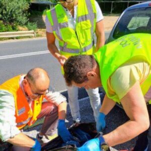 Ispettori ambientali, sanzioni a tappetto in tutta la citta