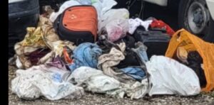 Ti sei mai chiesto cosa può contenere un"auto? Guarda le foto