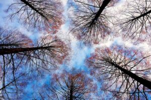 A Montenero nasce un giardino terapeutico per malati di Alzehimer, e persone con disabilità