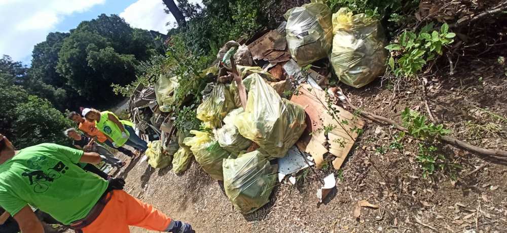 I Fantastici 10 labronici capitanati da Mister Green compiono un'opera titanica nei boschi delle colline livornesi