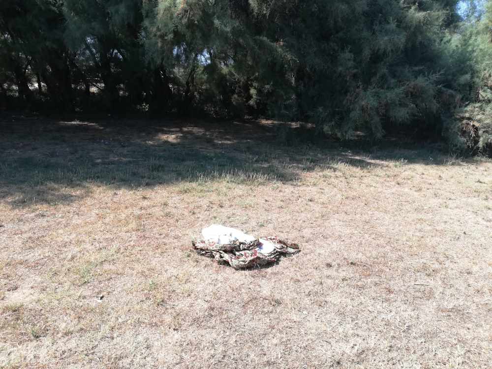 Terrazza Mascagni nuovo dormitorio pubblico, risposta rapida e decisa di Salvetti