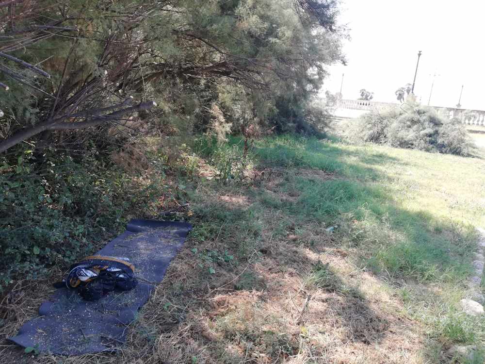 Terrazza Mascagni nuovo dormitorio pubblico, risposta rapida e decisa di Salvetti