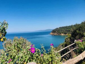 Le meraviglie di Cala Violina tra natura e "musica"