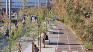 Alla Bellana saranno sostituite alcune tamerici