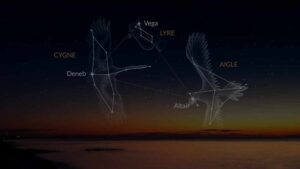 Le migliori costellazioni estive: una guida per gli osservatori celesti