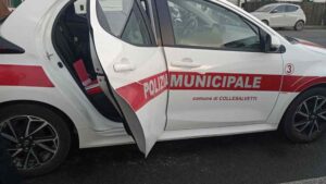 Stagno: Beagle investito e ucciso sulla via Aurelia