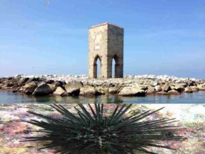 Ricci di Mare scomparsi alla Meloria? Allarme tra gli appassionati del mare