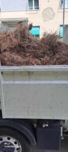 Allagamenti a Livorno: intervento delle squadre di AAMPS su Viale della Libertà