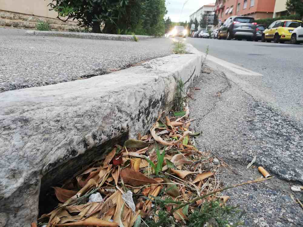Caditoie e bocche di lupo, "una pulitina in viale della libertà?" 