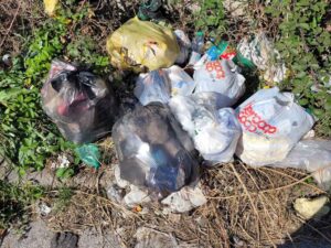 Compleanno tra i rifiuti Mr Green festeggia 43 anni e salva l'ambiente