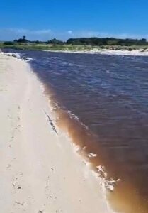 Fiume Fine, lo sversamento è alla foce (Video)