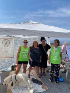 Libera uscita dal canile per 4 cuccioli di 90 giorni, si sono presentati alla città per essere adottati