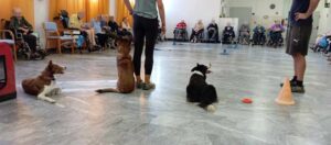 Una giornata con i cani per gli anziani in Rsa
