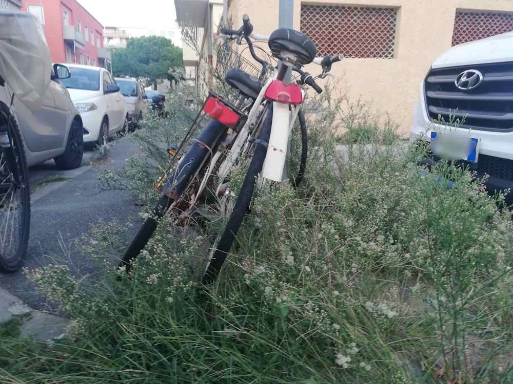 Decoro urbano: un angolo dimenticato, la Natura reclama
