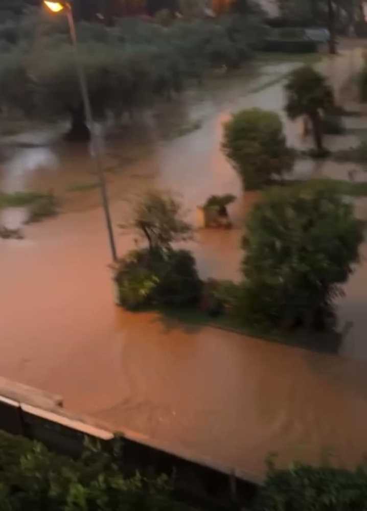 Il maltempo colpisce i territori dei comuni di Castagneto Carducci e San Vincenzo (Foto)