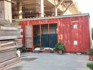Spostamento colonia felina in zona Donegani: "sentenza di morte per i poveri mici"