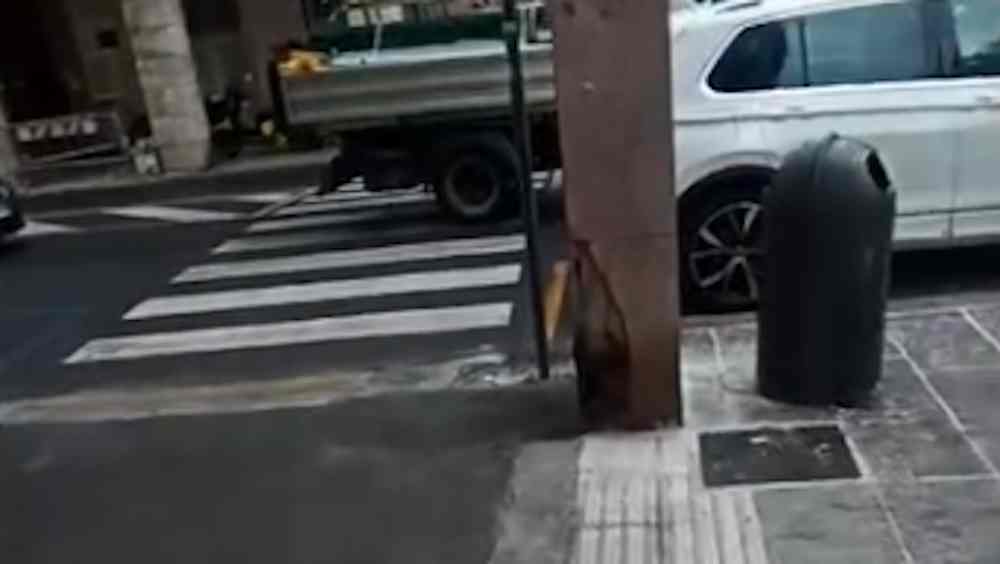 Se non vedi a Livorno il loges ti fa sbattere alle colonne, il video di denuncia di Morozzi il viaggio di Manuele in via Grande