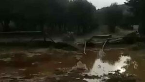 Agribizzarra sommersa: animali salvi, strutture da ricostruire parte la raccolta fondi