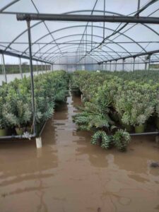 Gravi danni da maltempo: "Ogni volta che piove dobbiamo pregare di essere risparmiati"