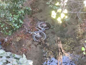 "A Livorno le bici si gettano nella fognatura bianca"