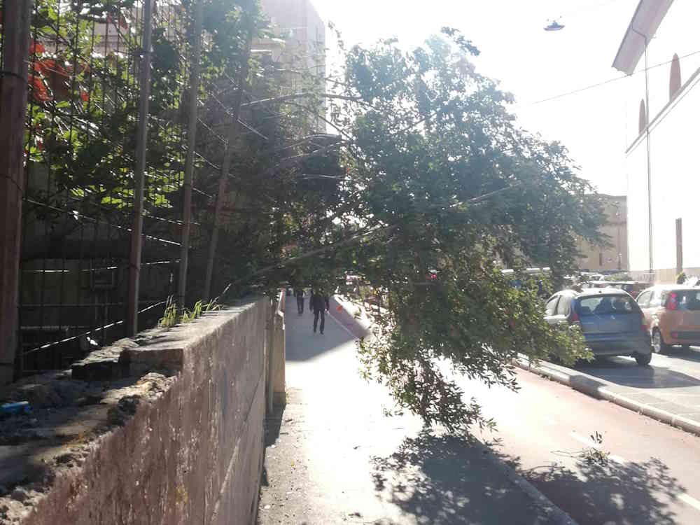 Livorno forte vento abbatte arbusti al Mascagni, chiusa pista ciclabile e marciapiede
