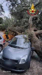 a seguito dell'allerta meteo diramato  dal CFR  Toscana per il forte vento sono in corso dalle prime ore di stamattina interventi da parte dei vigili del fuoco di Livorno al momento in maggioranza concentrati a Livorno città,  La tipologia riguarda gronde, cornicioni, intonaci , persiane, rami e alberi pericolanti,  alcune zone interessate sono, Borgo Cappuccini, P.zza Attias, Via Ricasoli, via dell'Eremo. Al momento una 15 le chiamate in attesa e 13 gli interventi compiuti.