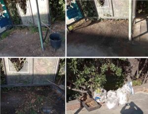 Pensilina fermata autobus: cittadini puliscono per il bene comune ma "la gestione del decoro non dovrebbe ricadere sui cittadini"