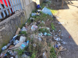 13,8 kg di rifiuti rimossi il regalo di Natale di Mister Green alla città di Livorno