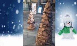 Natale, tronchi abbattuti dall'alluvione diventano opere d'arte